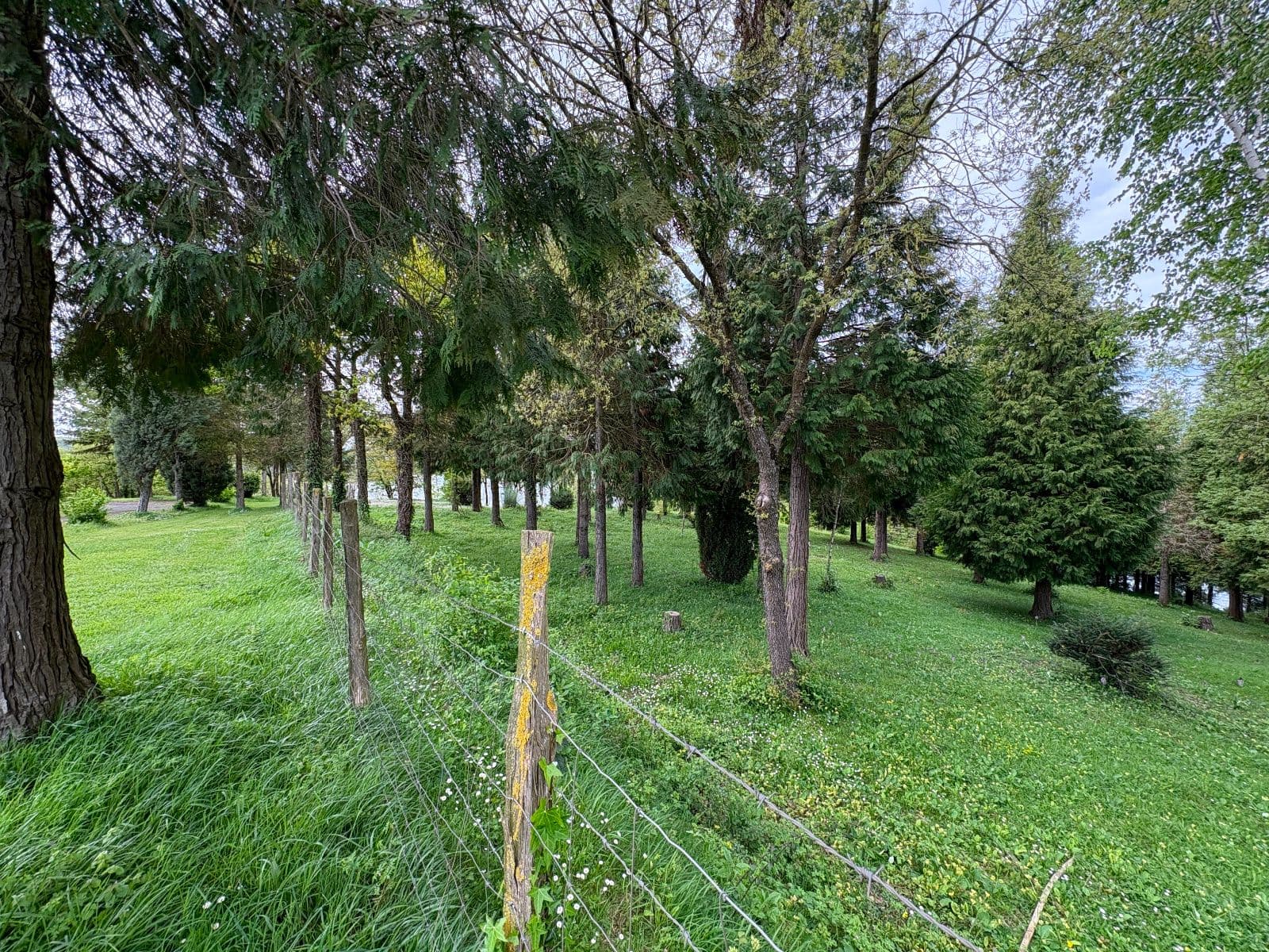 SE VENDE VIVIENDA FAMILIAR ÚNICA EN URRUNAGA. IDÓNEA PARA PROYECTO DE INVERSIÓN. - imagen 11